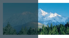 spoljna tenda krovni prozor II grupa FAKRO transparentnost